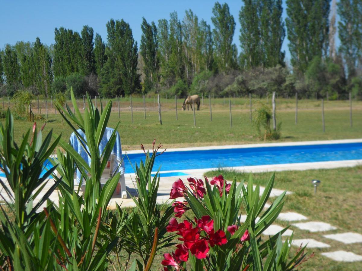 Casa De Campo Las Olivas Сан-Рафаэль Экстерьер фото